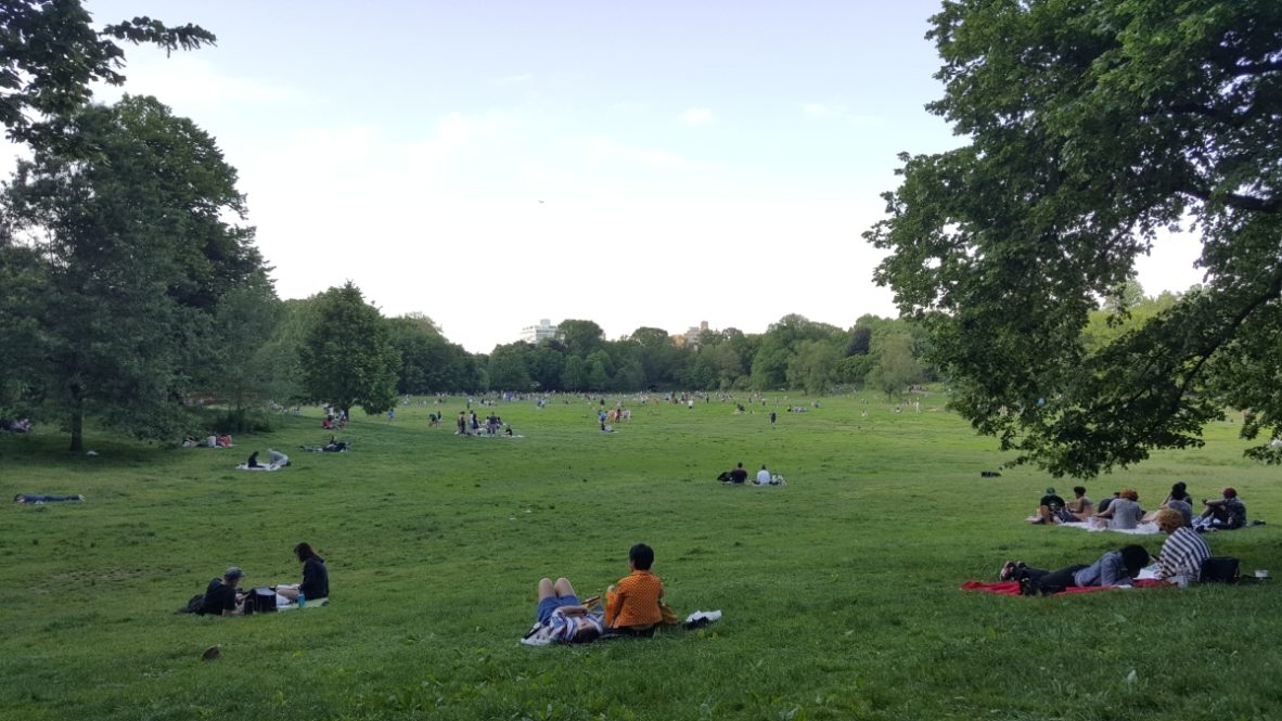 Long Meadow in Prospect Park in Brooklyn, New York City. (Dariusz Gryczka/Shutterstock)