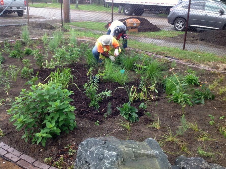 A rain garden is planted at New Mission Temple Church Of God In Christ in Chicago. Courtesy photo