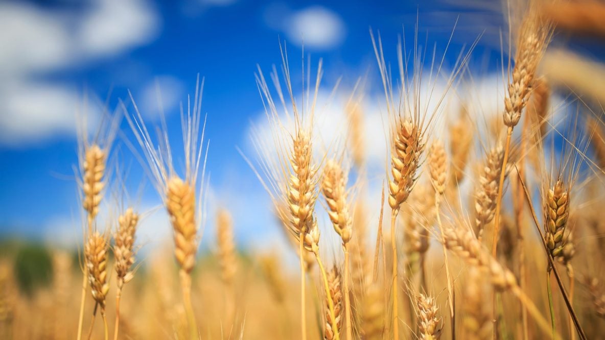 On Counting, and Making Our Lives Count