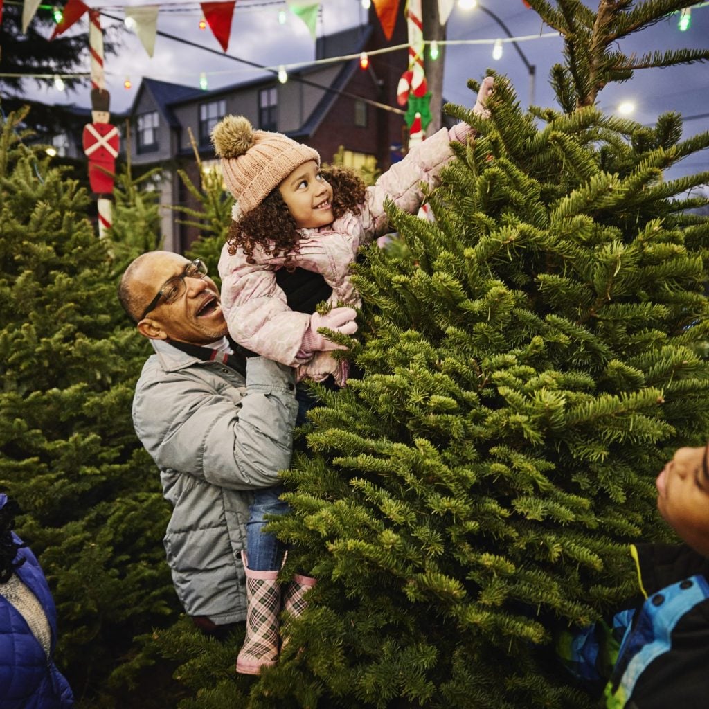 Grandfather lifting granddaughter to touch top of tree while shopping with family in Christmas tree lot.
