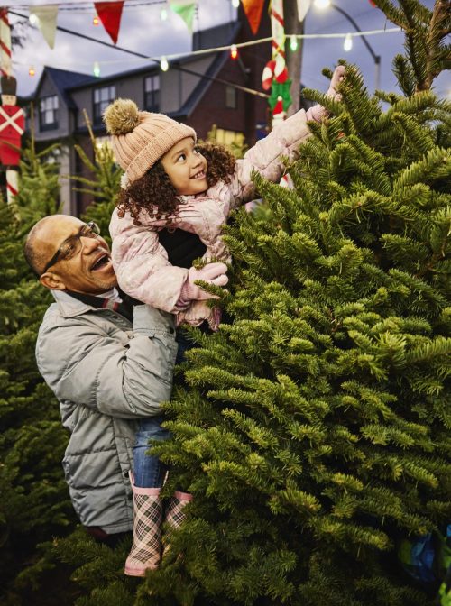 Grandfather lifting granddaughter to touch top of tree while shopping with family in Christmas tree lot.